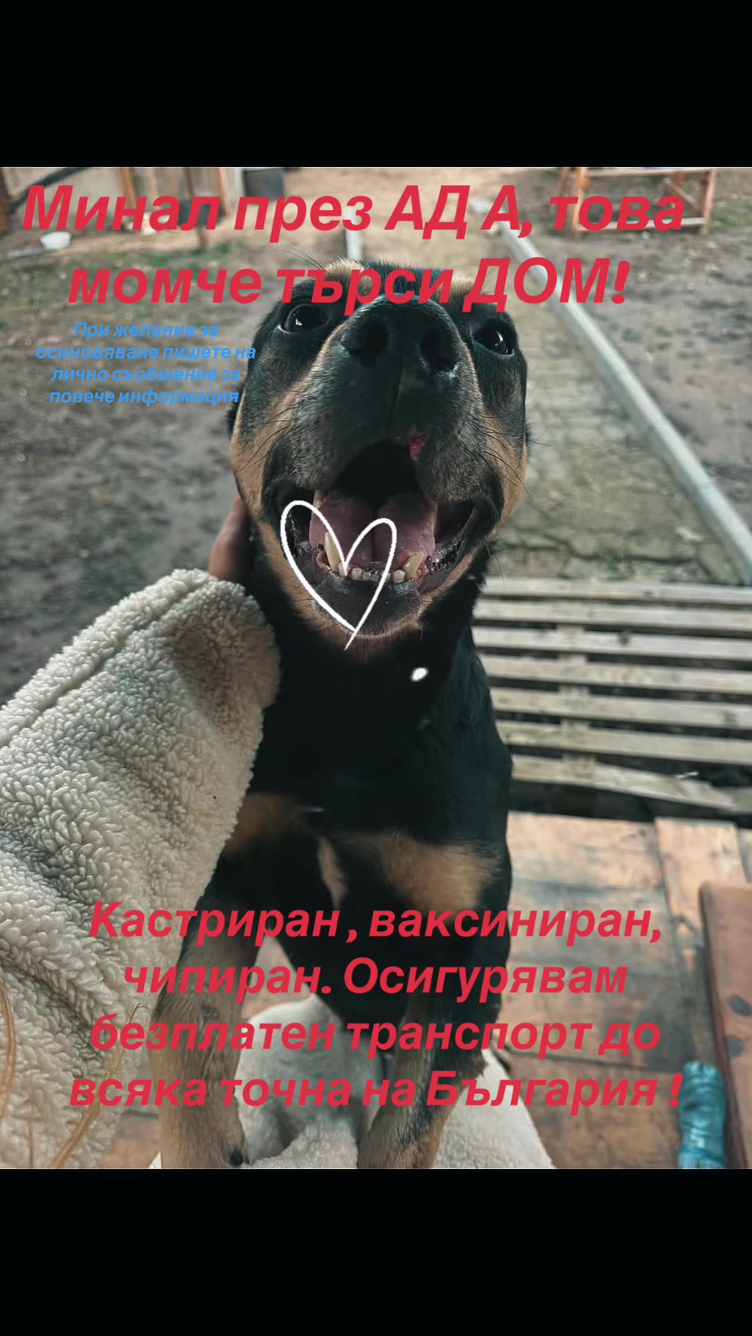 @Ivanova