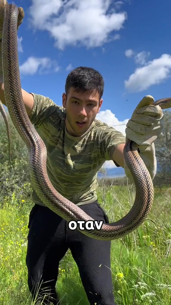 @Ορεινή Μέλισσα
