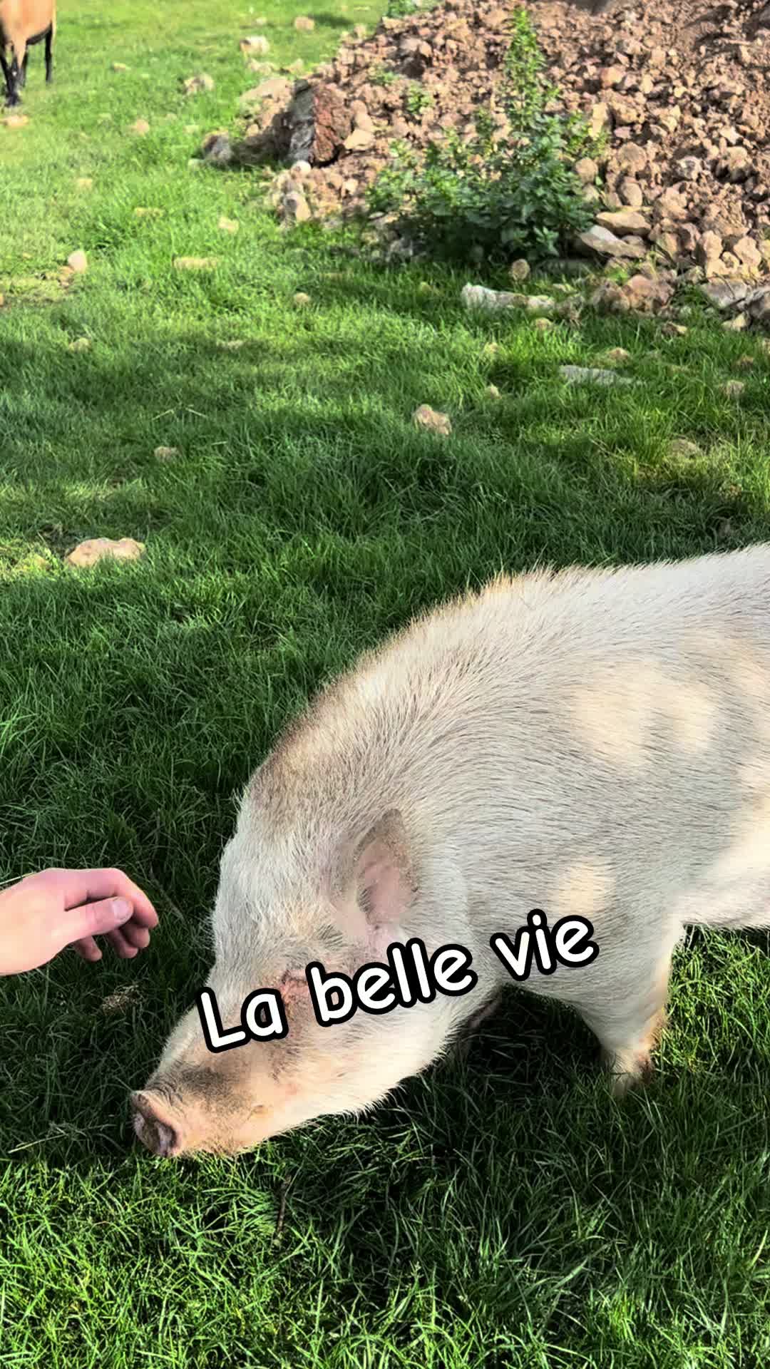 @Les logis du Breuil