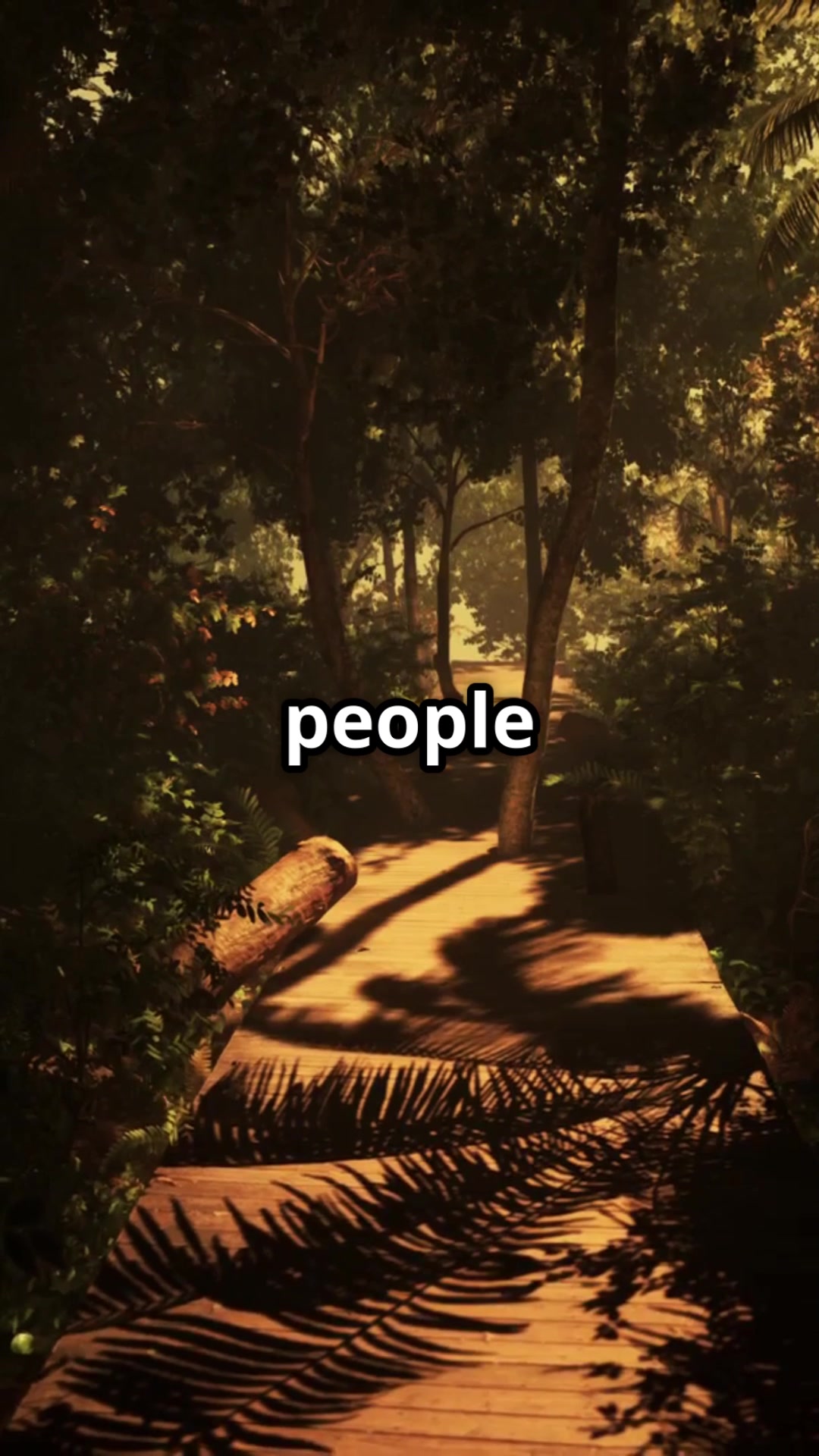 @cannonla