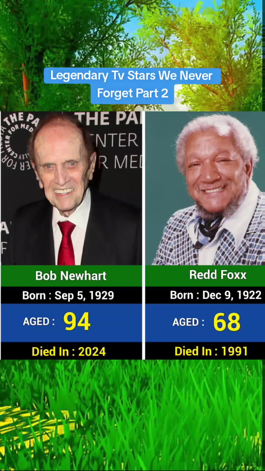 @Best Data