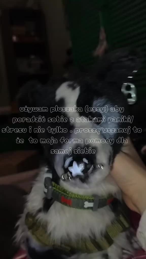 @🌱★~essa~★🌱