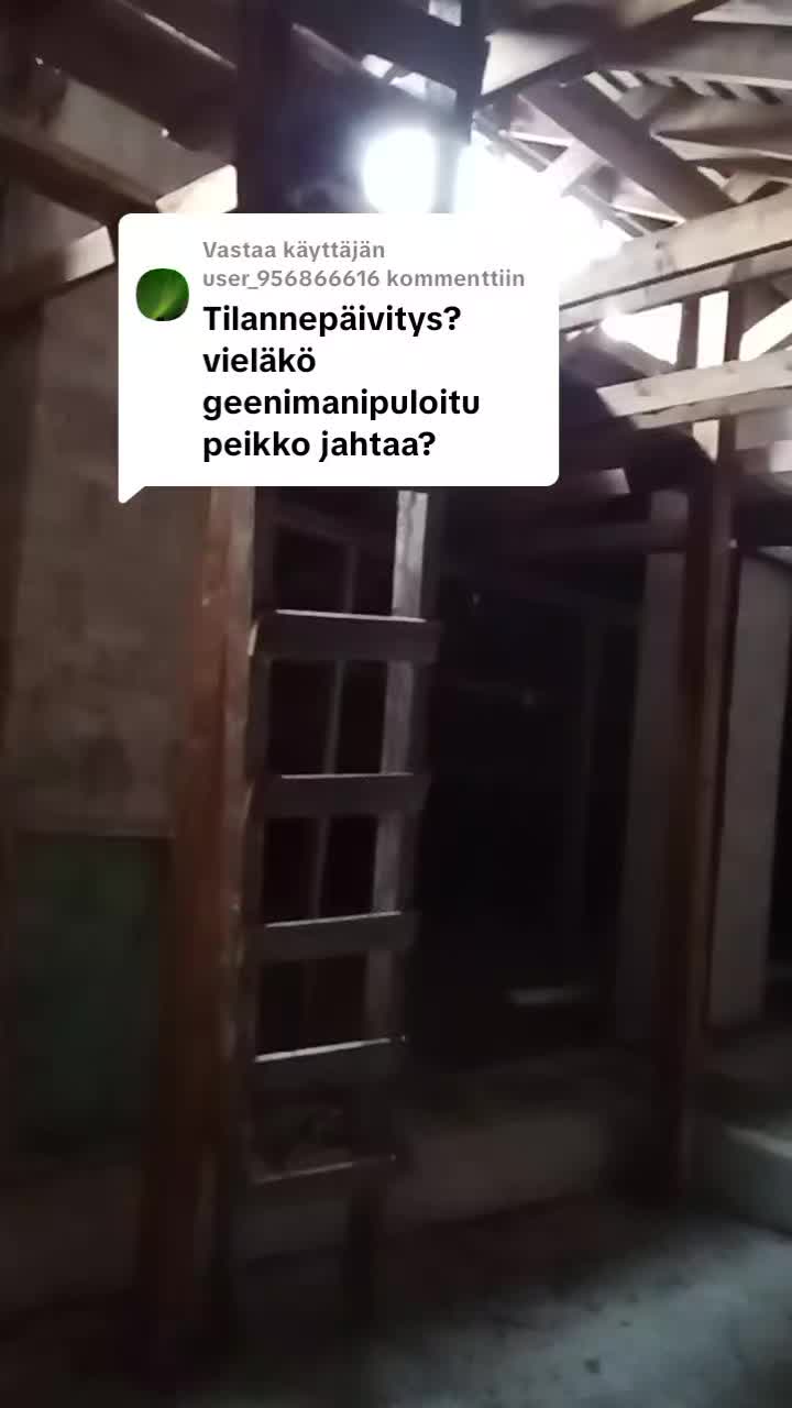 @LEMPEÄ JÄTTI
