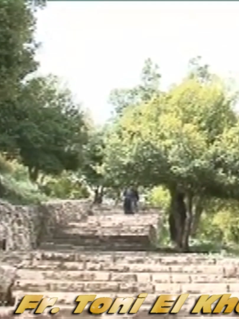 @Toni El Khouli