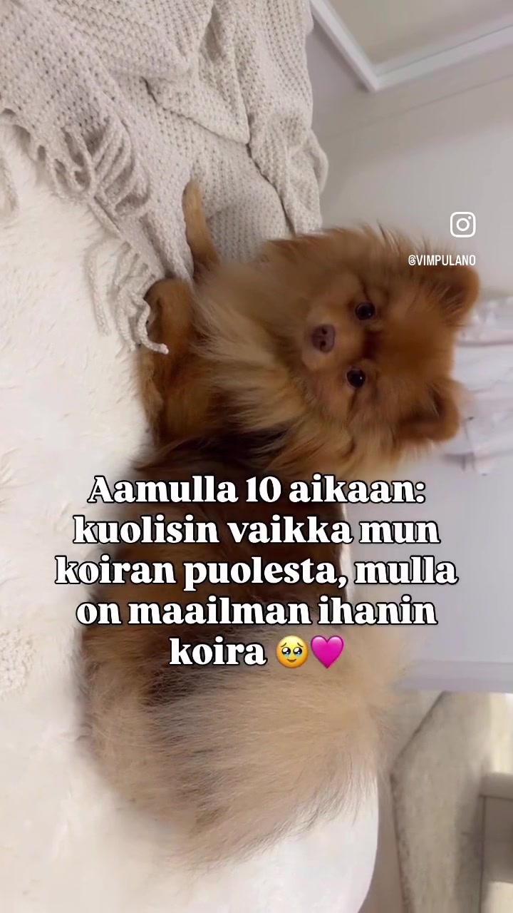 @Vimpulano