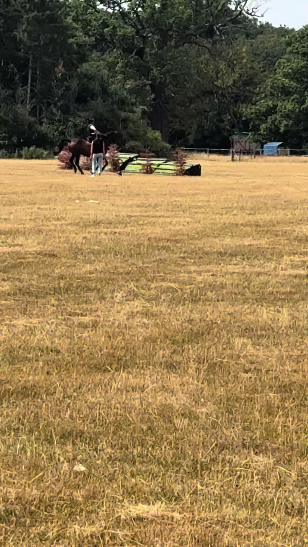 @MG.eq🇬🇧🐴