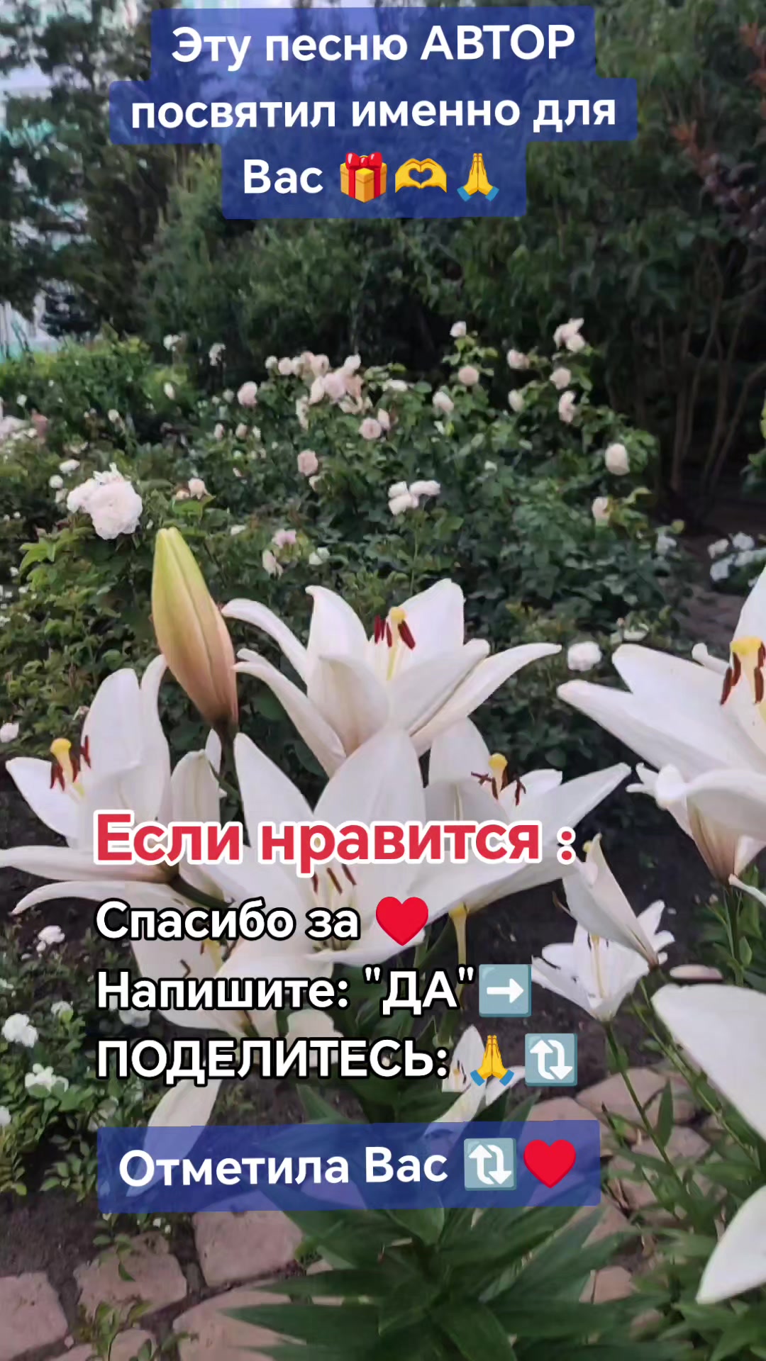 @🦋🌙7🇫 🇪 7🇾 🇦7🌙🦋