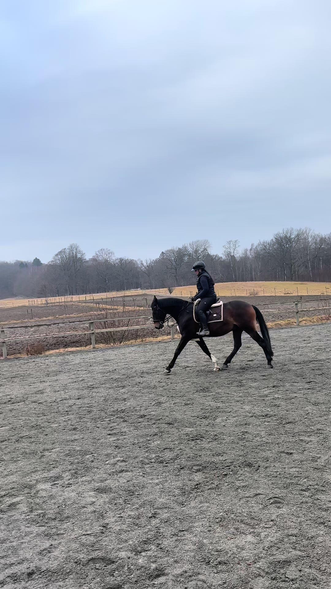 @Tilda Zöller🇸🇪