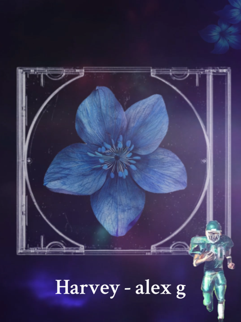 @โ
๐๐ค๐ฃ๐ ๐๐ฎ๐ง๐๐๐จ โ