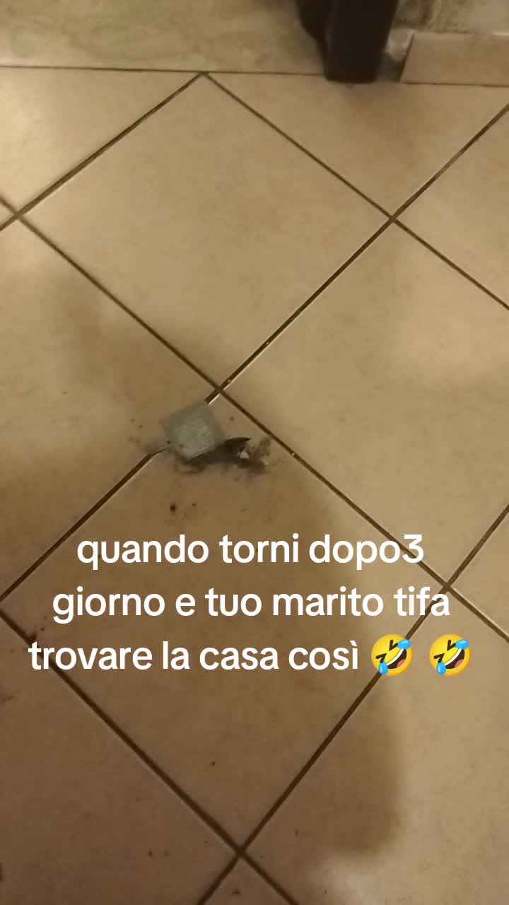 @Concetta Dalpino