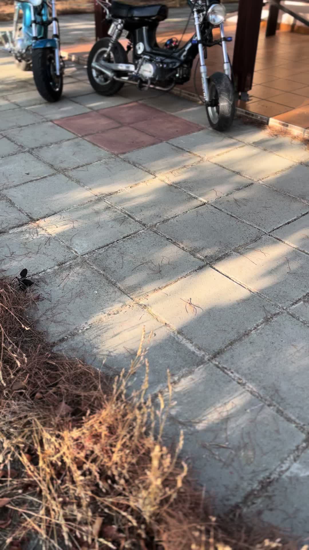 @🎭