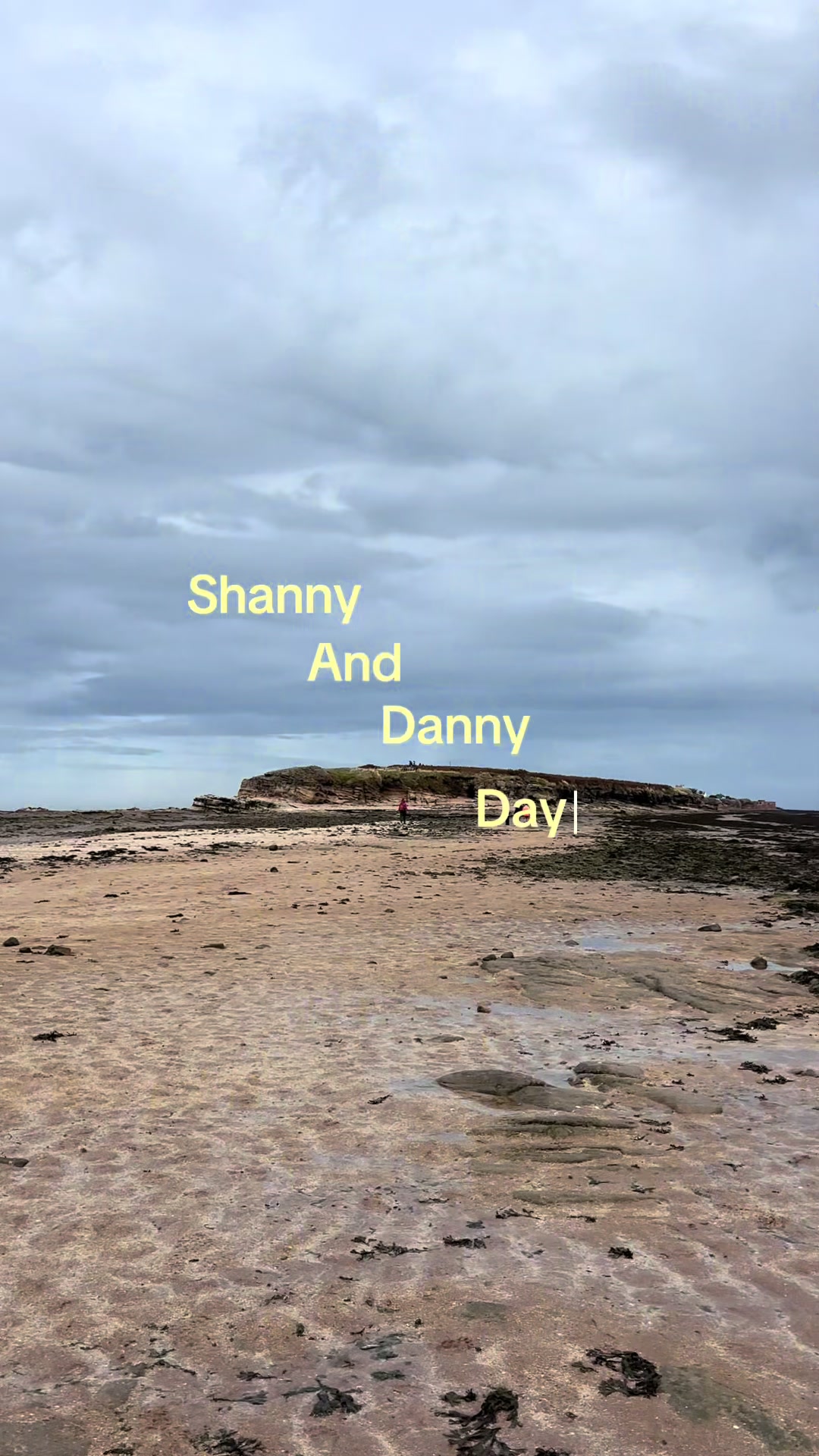 @shannonclare_