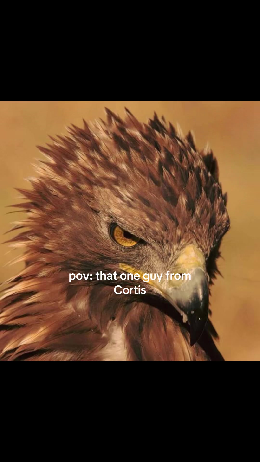 @J