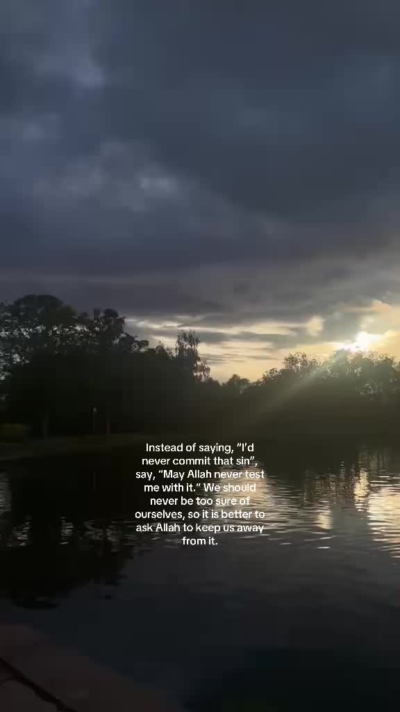 @No Doubt🕊️