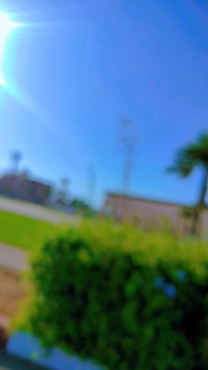 @mona
