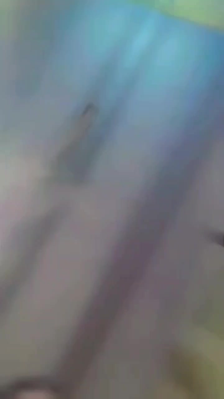@ミ★ 𝘚𝘢𝘙𝘢 𝘚𝘢𝘸𝘢𝘵𝘪 ★彡