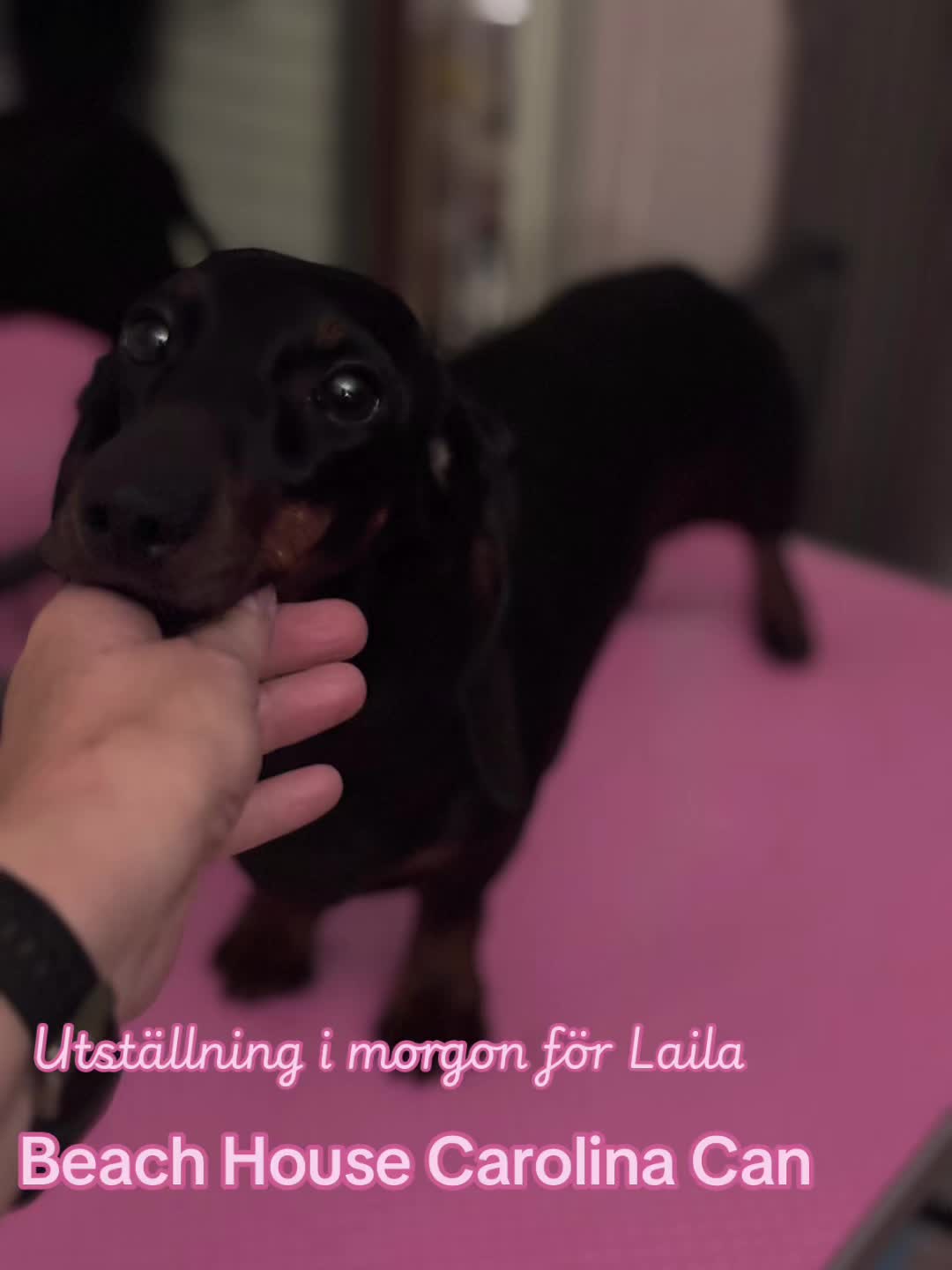 @Anna