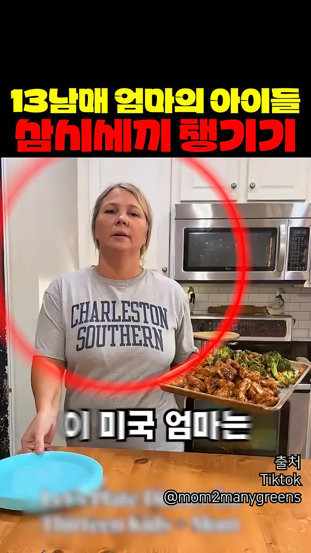 @짱아까미