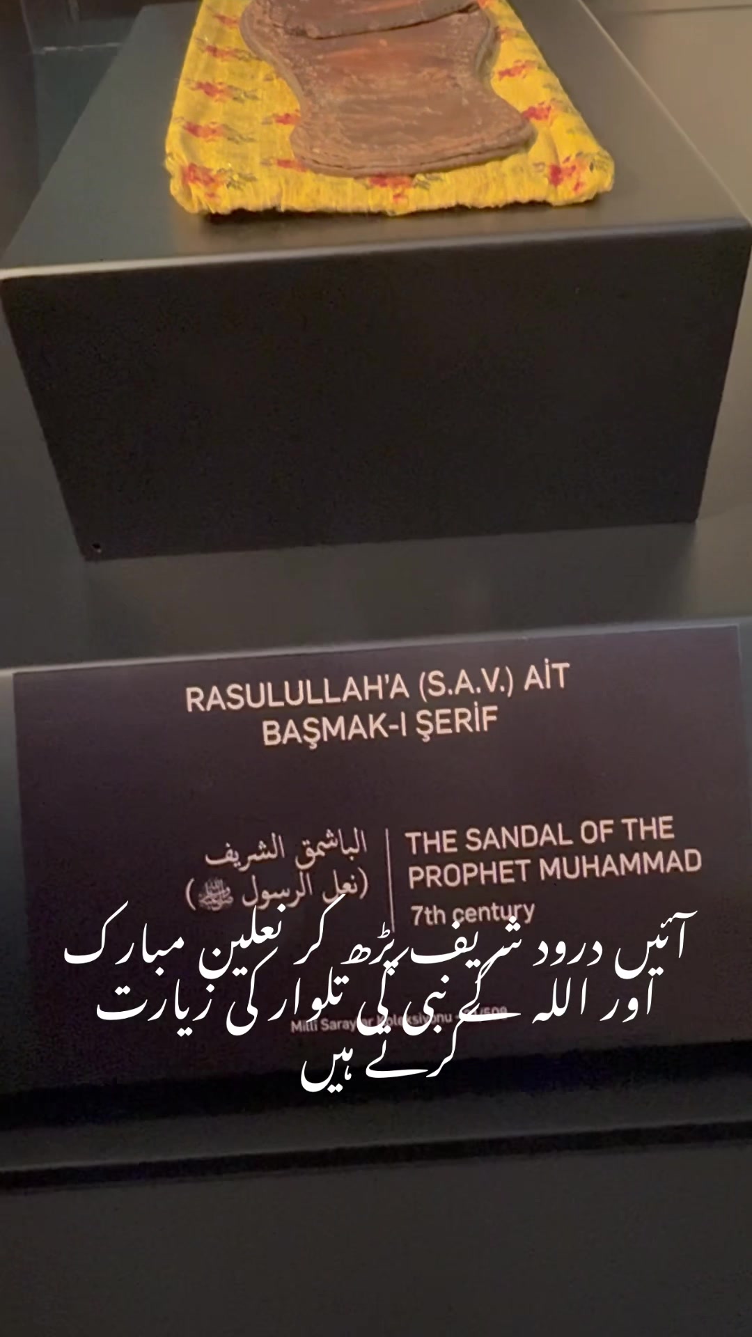 @hafeezm17