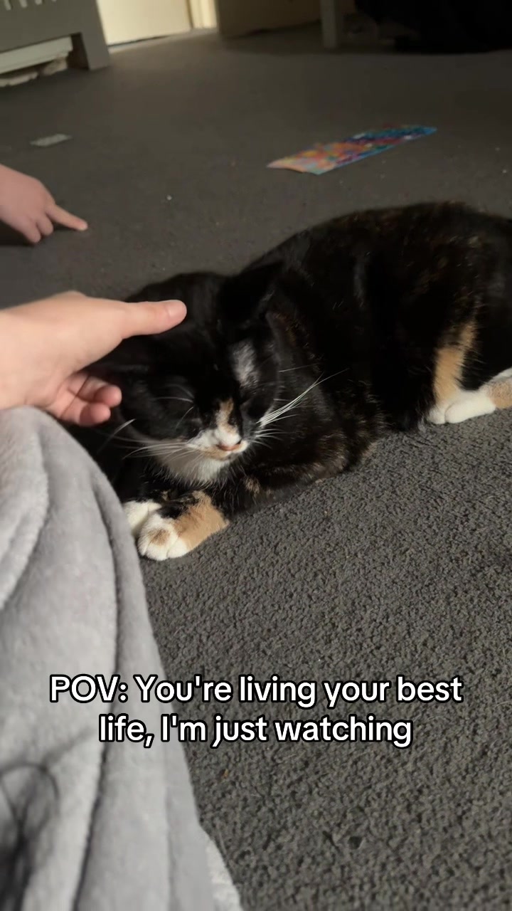 @Paigeyy