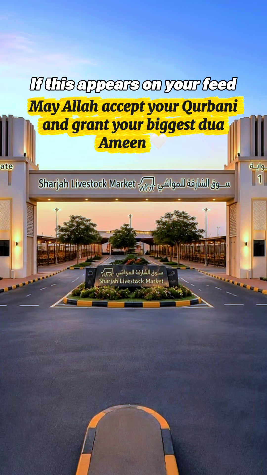 @Saddam Salim