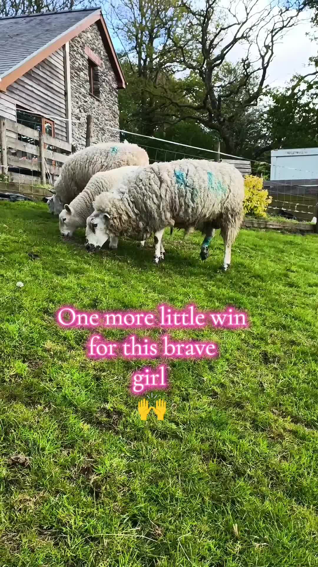 @fieldsforevere42