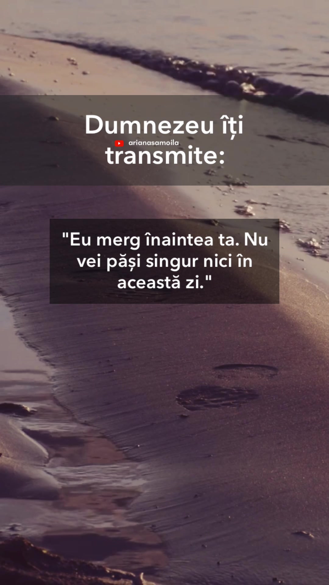 @Ariana Samoilă
