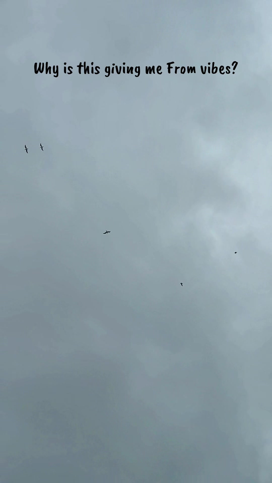 @David Lee Drone