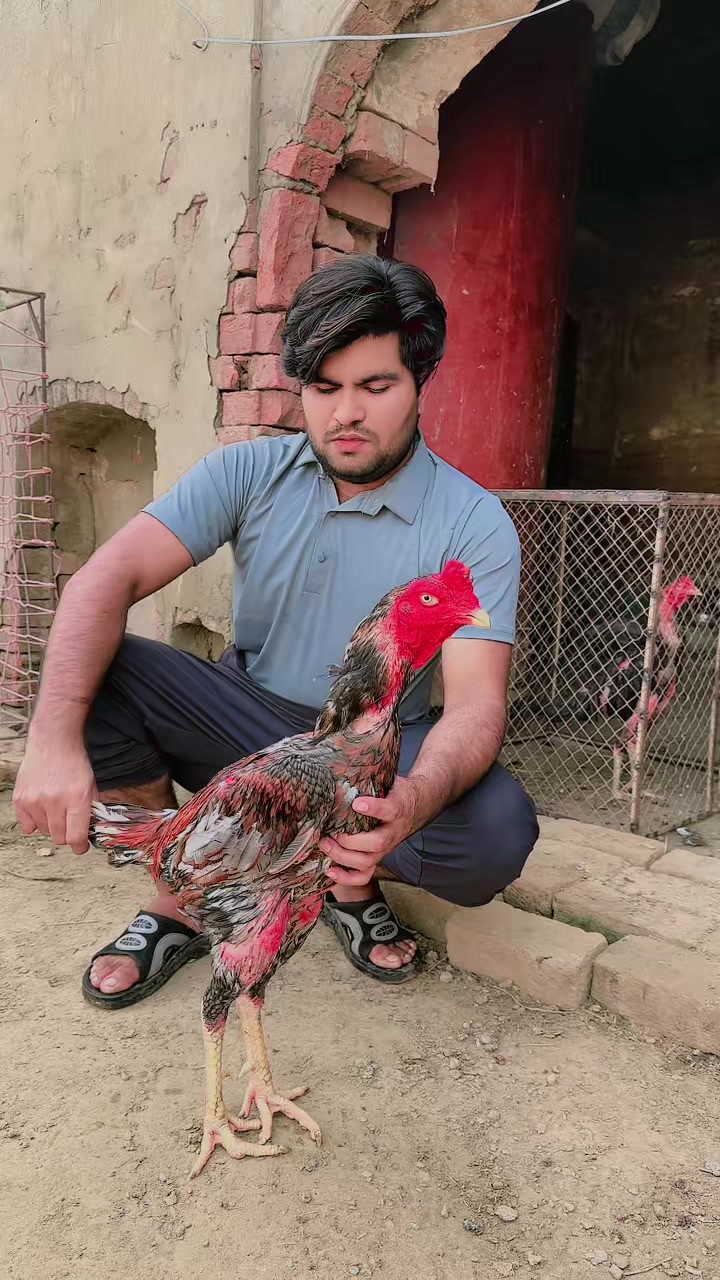 @🇹🇷الیاس بھٹی🇵🇰