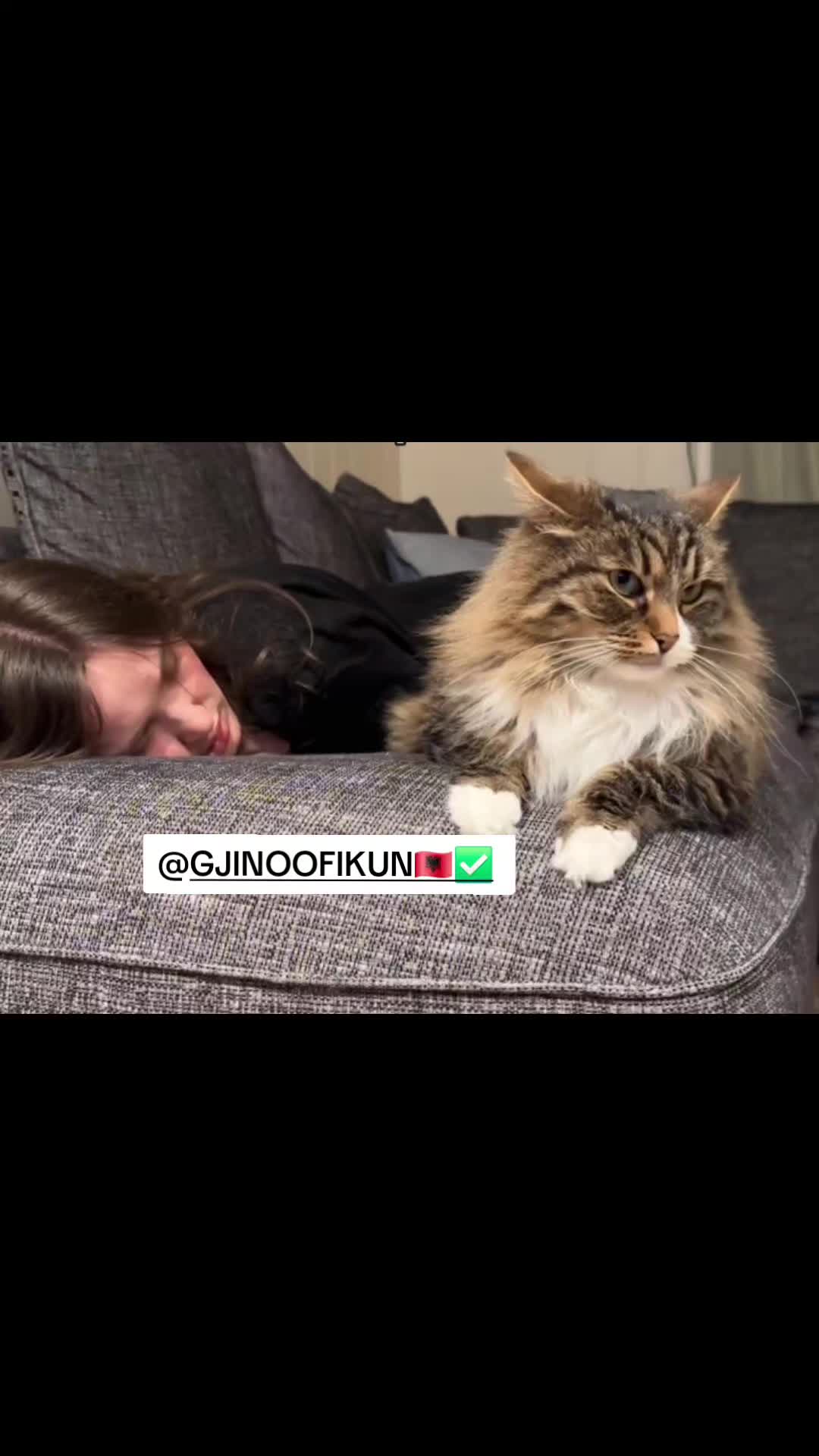 @GJINOOFIKUN🇦🇱✅️