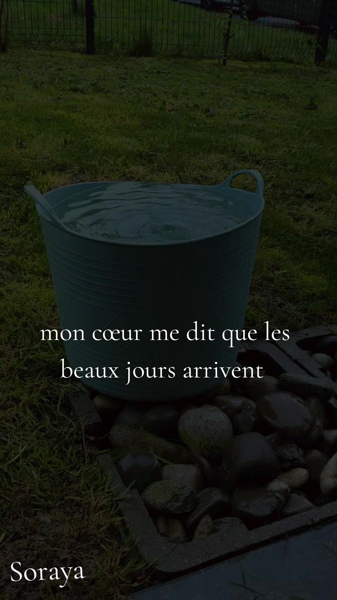 @l'artiste