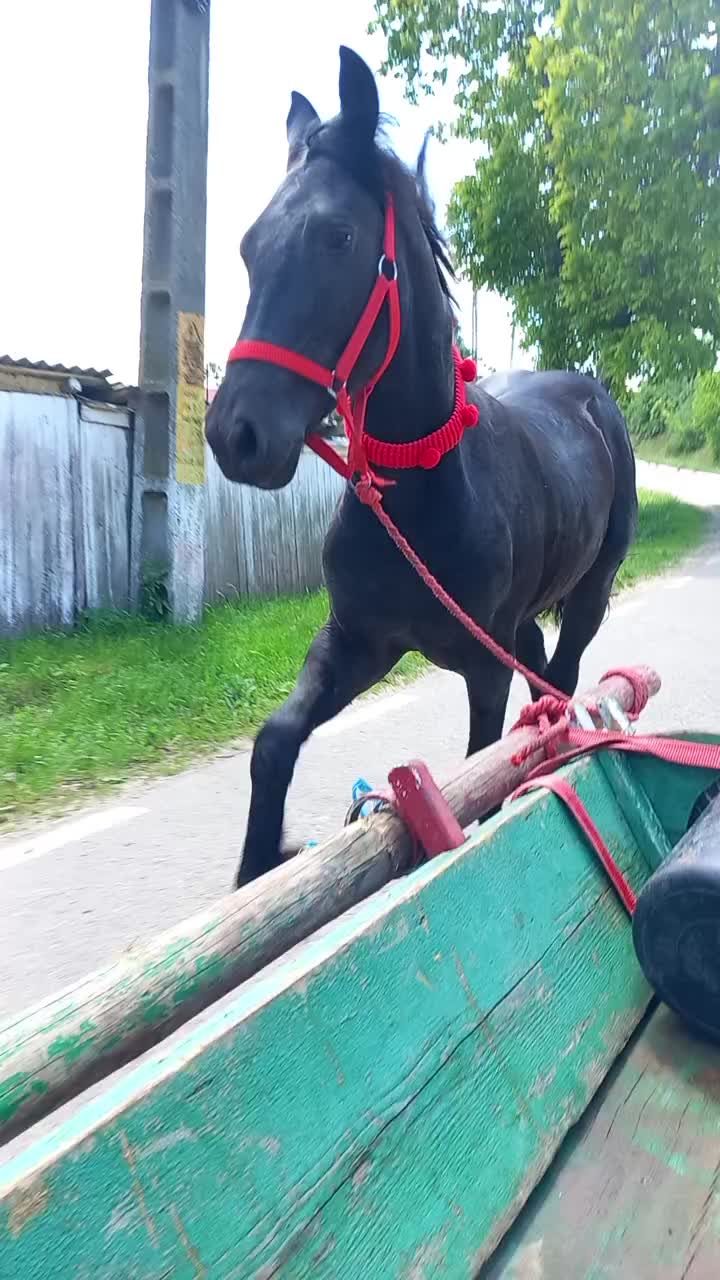 @Peo❤️Efi