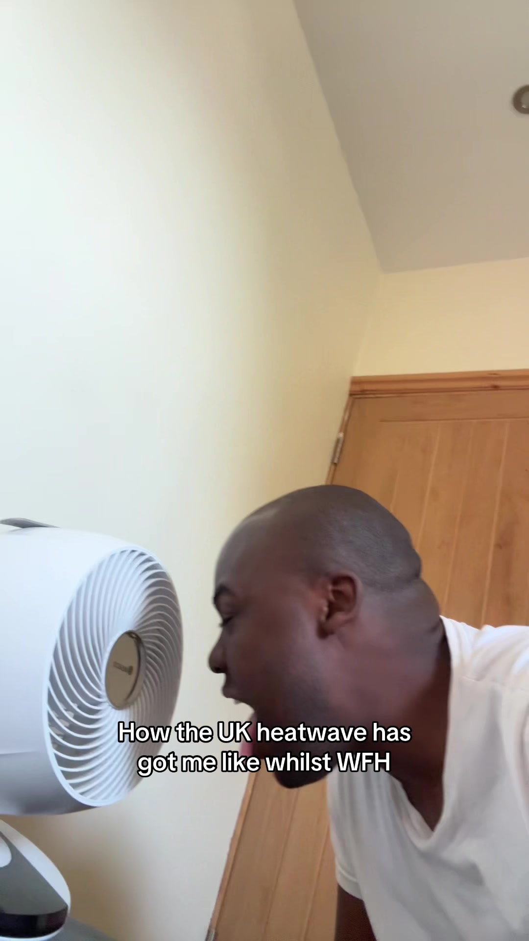 @monelbailey