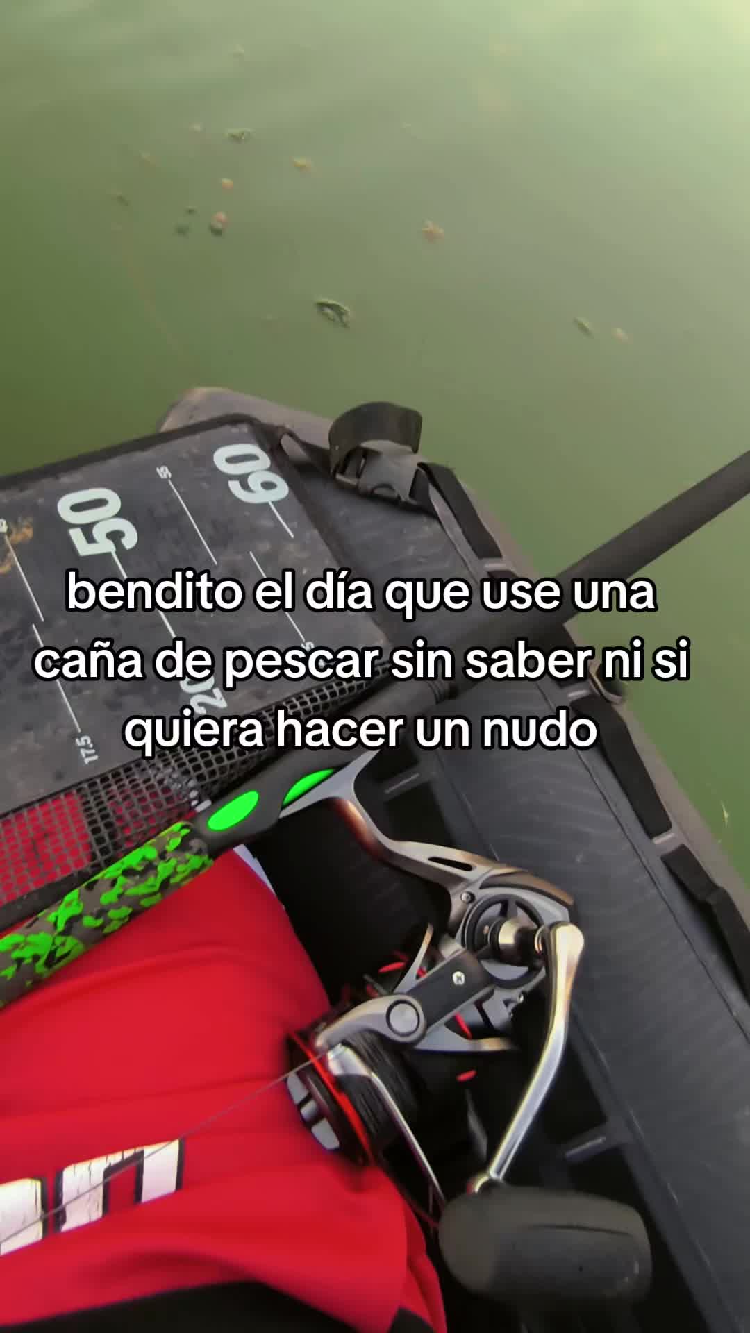 @siluros_delebro