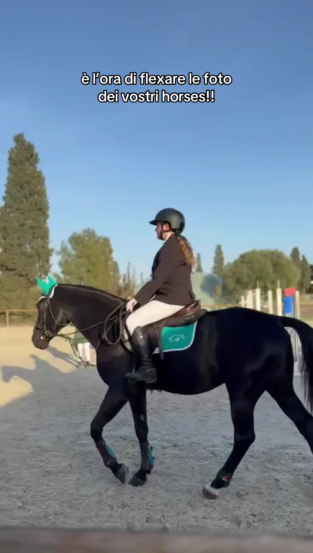 @isa_pullo🩶🐴