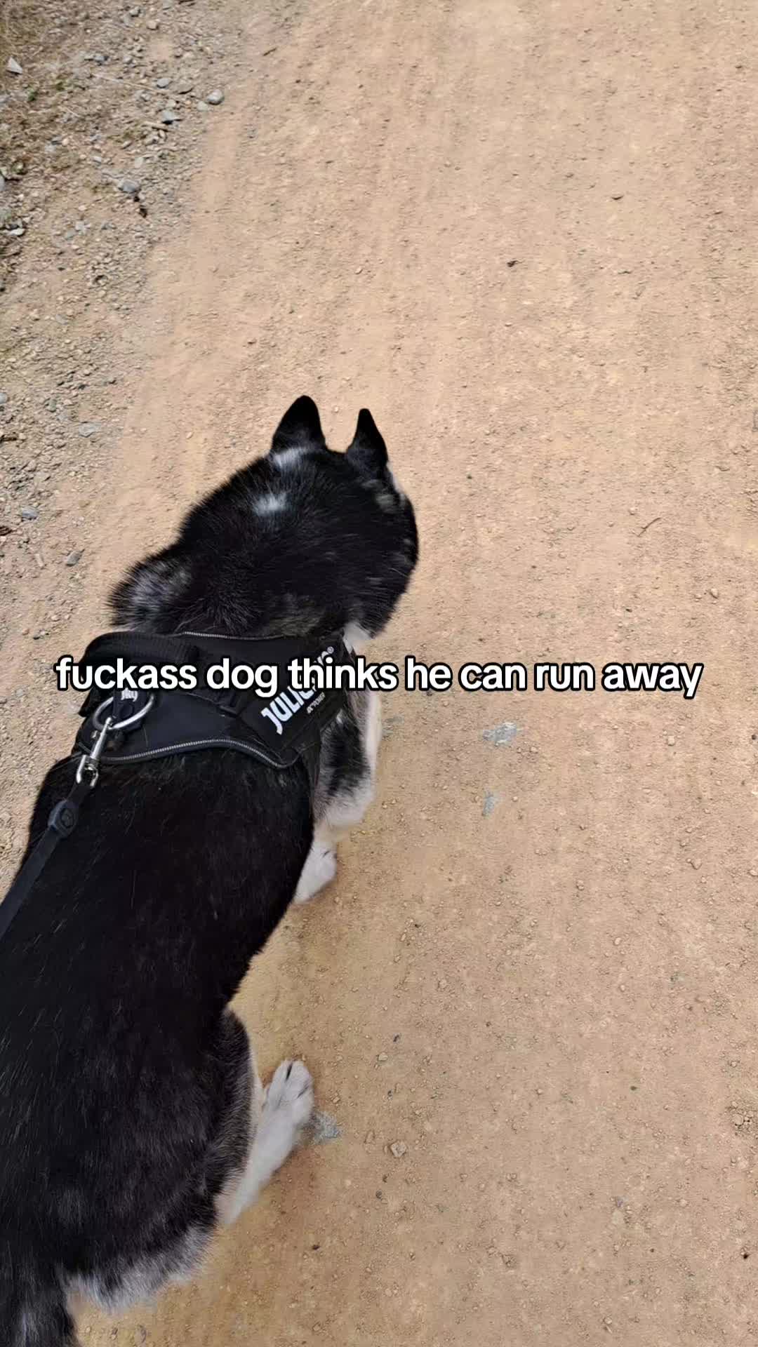 @𝙻𝙸𝙳𝙸𝙰🪽ᯓ★