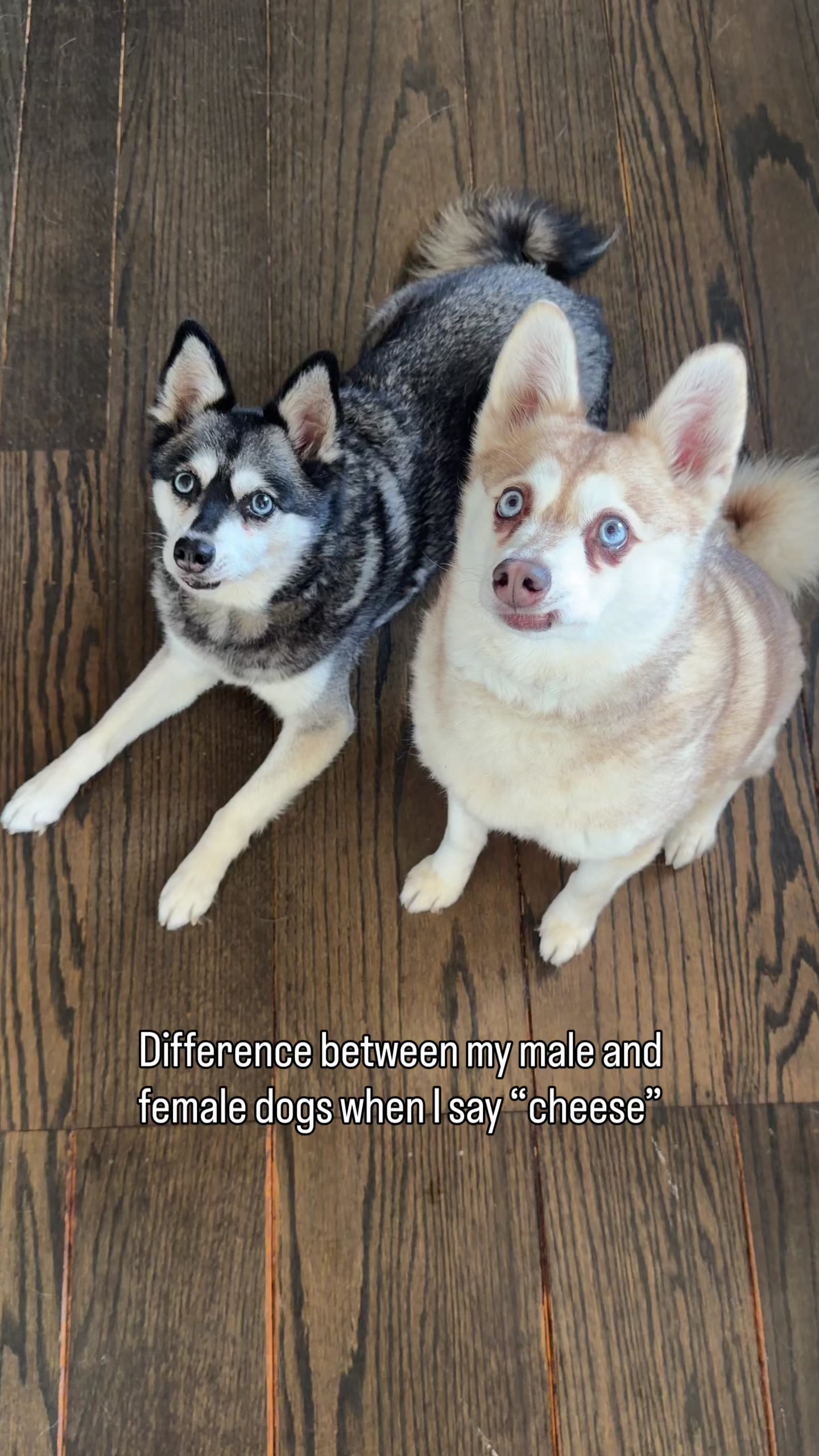 @lifewithkleekai