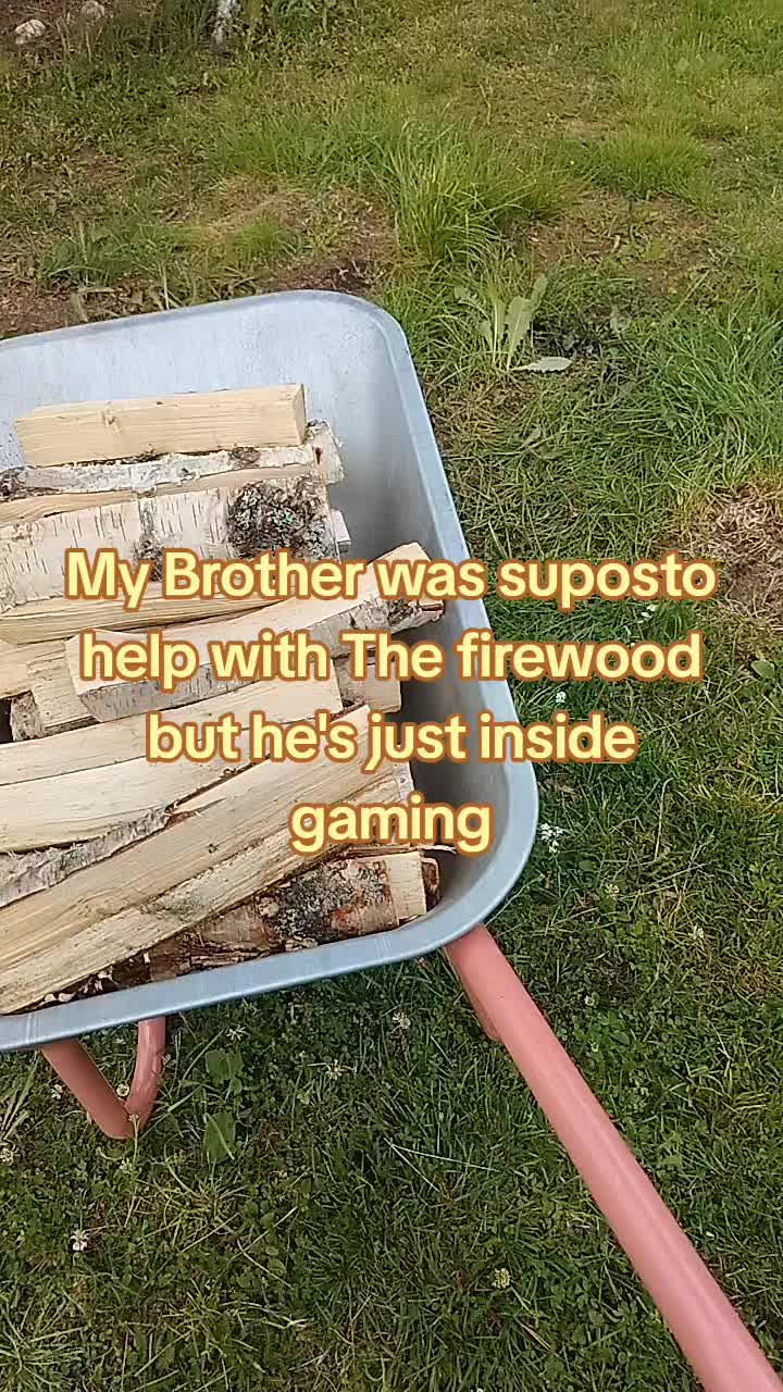 @sparrow_z