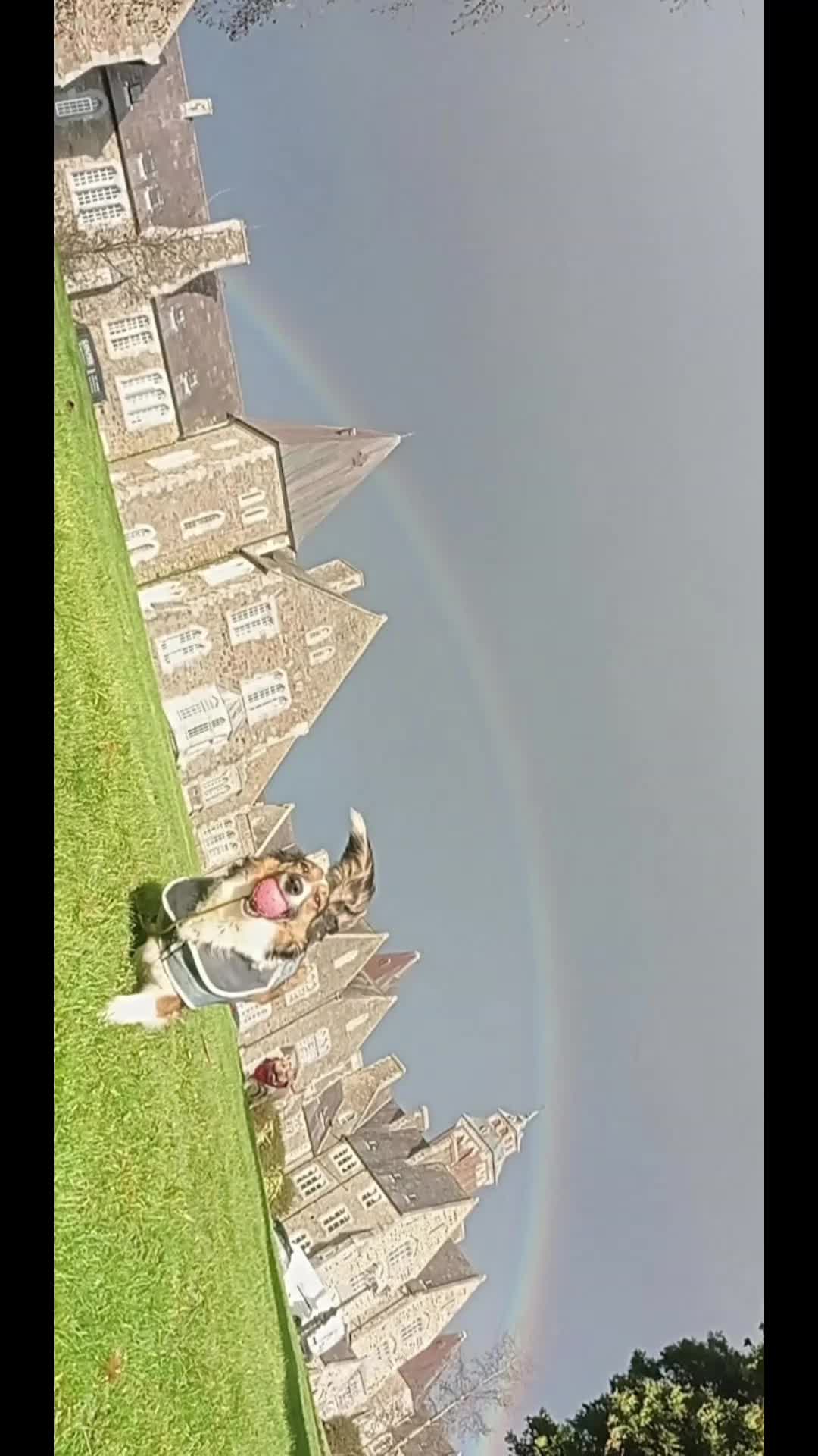@Sunny_Sandy420
