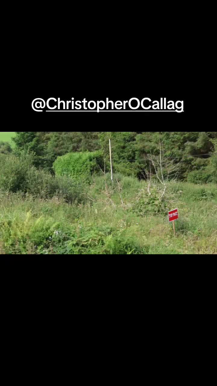 @hickey_rallying56
