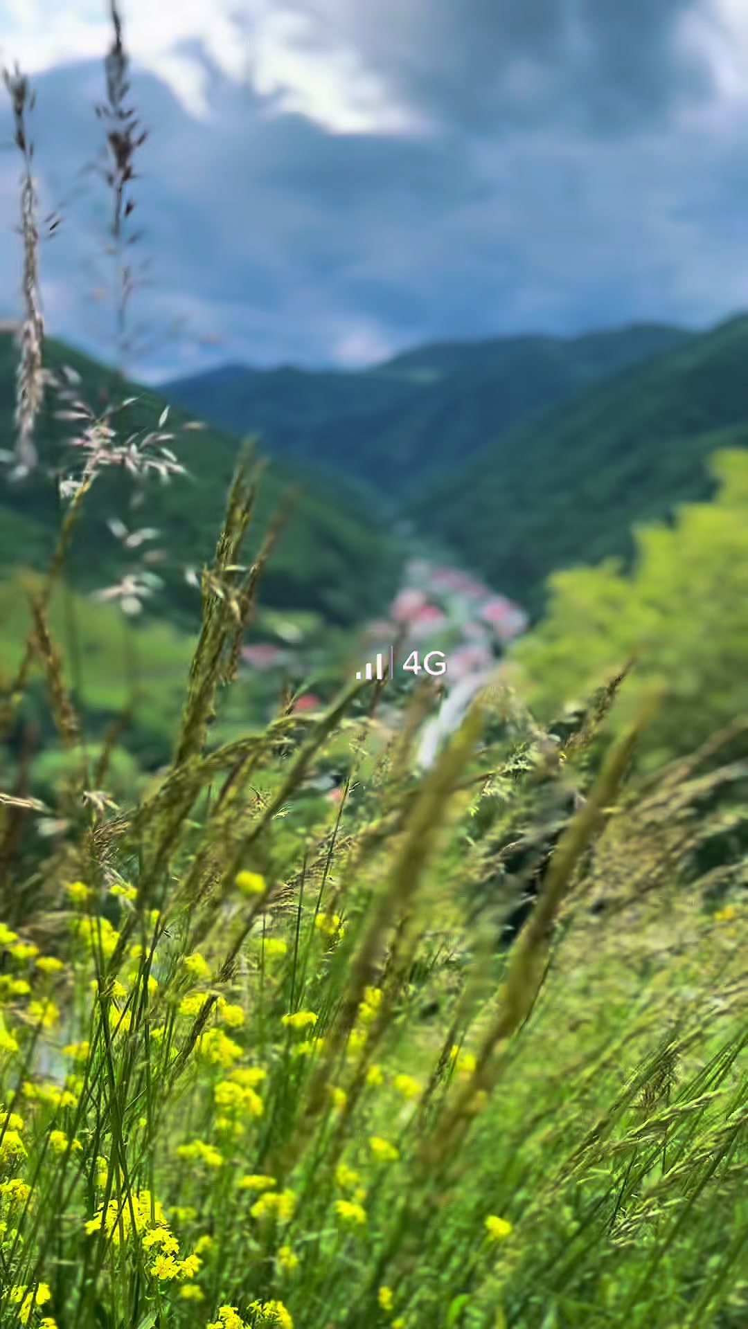@𝗔𝗡𝗡𝗔✨️