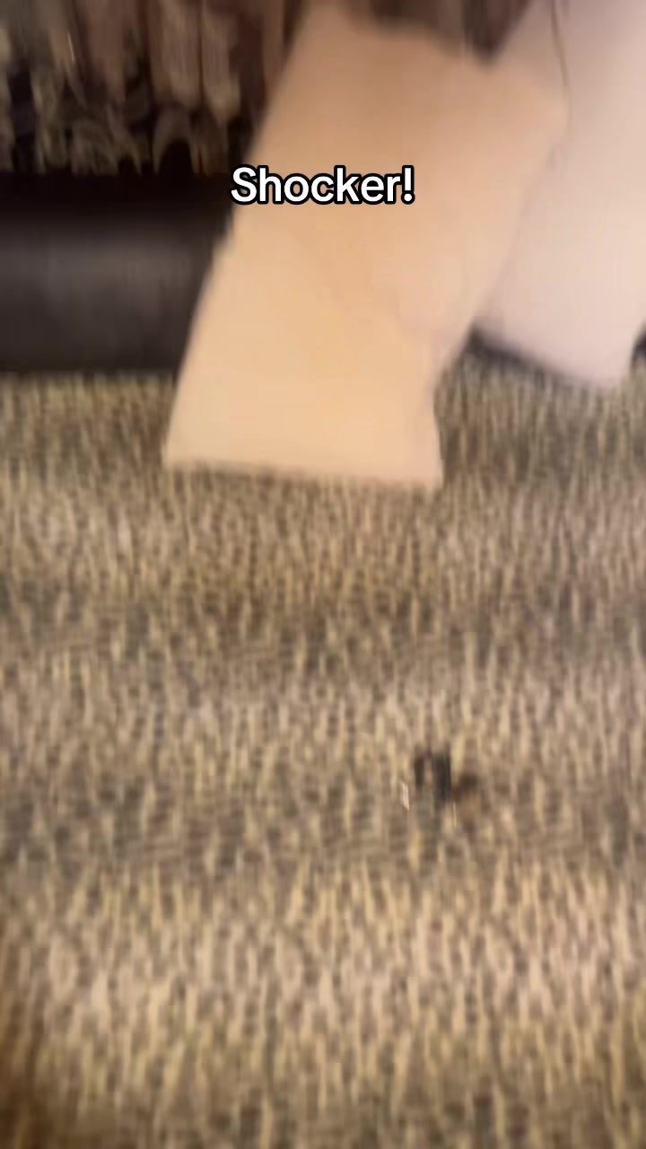 @zanbeicy