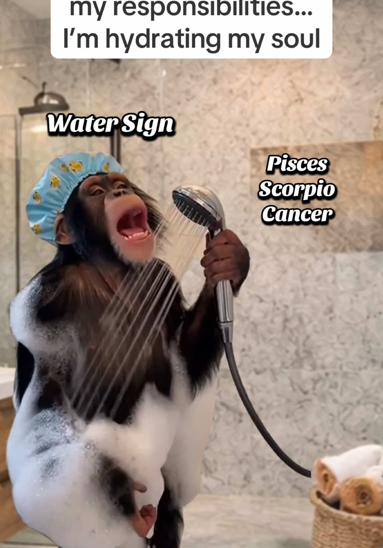 @ð©ððš ðððððð ðŠððŠð©