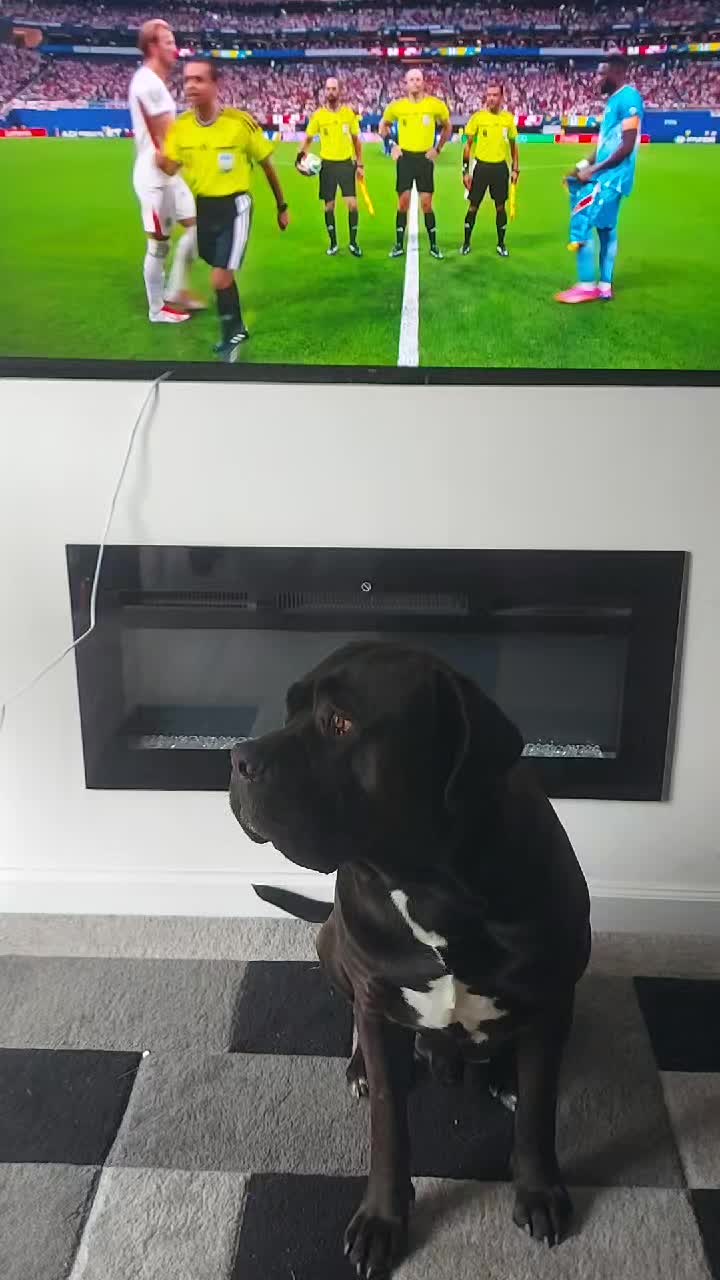 @Canecorspuppy