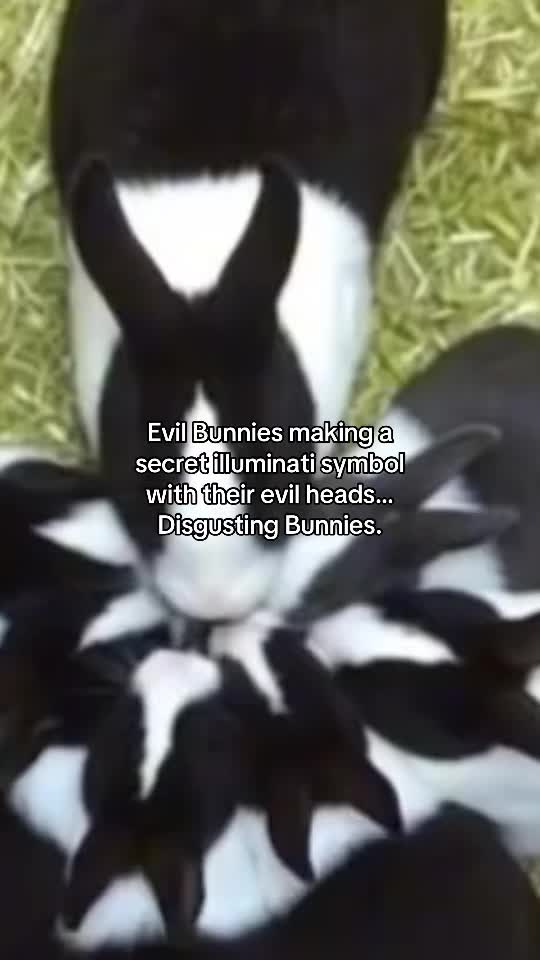@vaniliphilia
