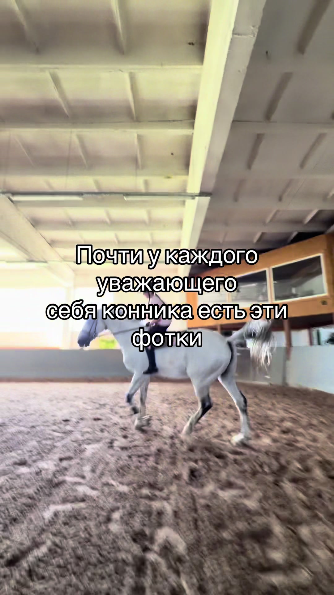 @𝐦𝐨𝐫𝐤𝐨𝐯𝐧𝐢𝐜𝐚🥕 ྀིྀ