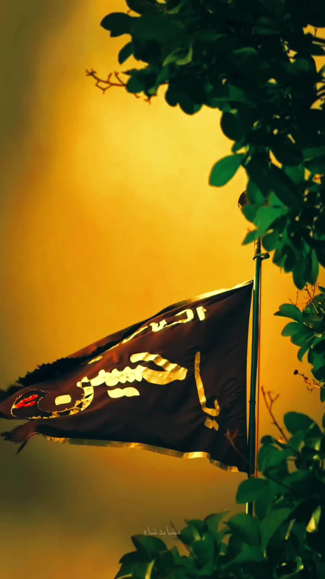 @𝐇𝐮𝐬𝐬𝐚𝐢𝐧𝐢 𝐁𝐨𝐲...🫶🏻