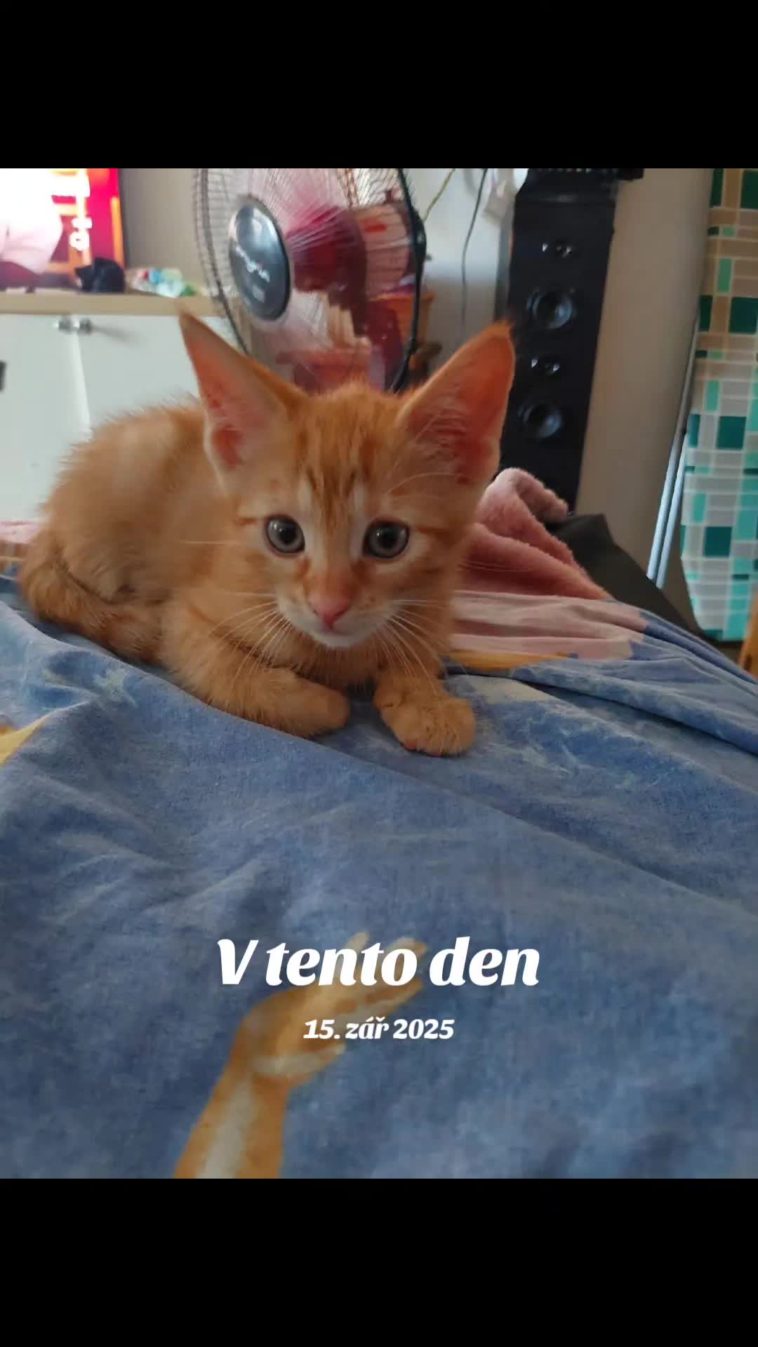 @Iveta.b.🩷🇨🇿🥹