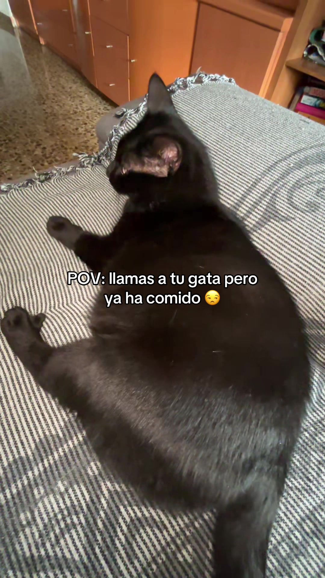 @BlackCatsMatter