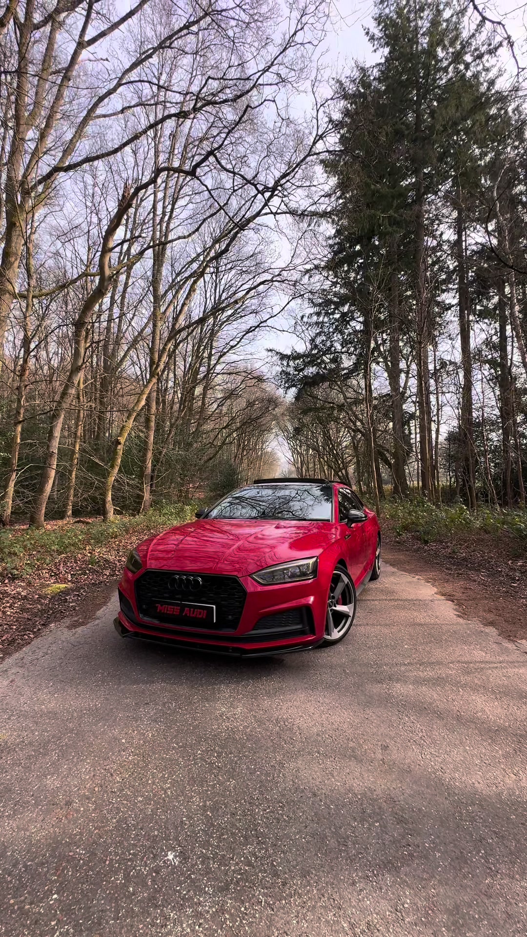 @Miss Audi